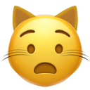 Anguished Cat