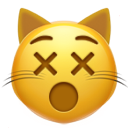 Dizzy Cat