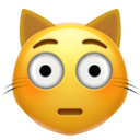 Flushed Cat