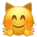 Hugging Cat emoji