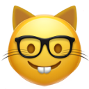 Nerd Cat emoji