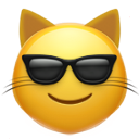 Sunglasses Cat emoji