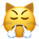 Triumph Cat