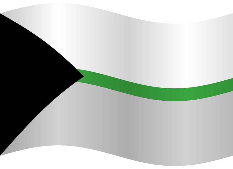 Demiromantic Flag