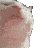 Cat jam emoji