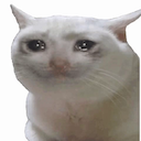 Cry cat emoji