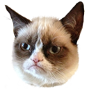 Grumby cat emoji