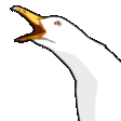 Gull scream emoji