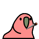 Bluntparrot emoji