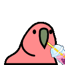 Bobaparrot