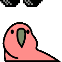 Dealwithitnowparrot