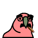 Grouchoparrot