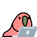 Laptop_parrot emoji