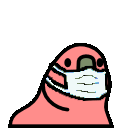 Maskparrot