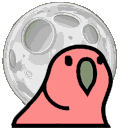 Moonparrot