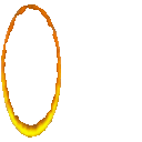 Reverseportalorangeparrot