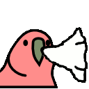 Sneezyparrot