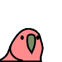 Stableparrot