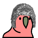Tinfoilhatparrot