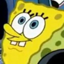 Welpbob
